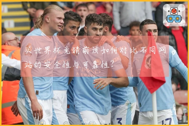 买世界杯竞猜前该如何对比不同网站的安全性与可靠性？