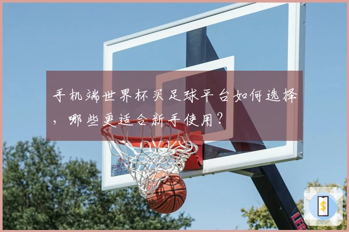 手机端世界杯买足球平台如何选择,哪些更适合新手使用?
