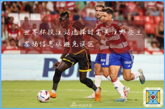 世界杯投注站选择时需关注哪些主客场信息以避免误区