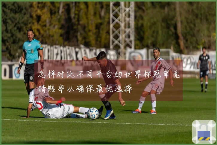 怎样对比不同平台的世界杯冠军竞猜赔率以确保最优选择
