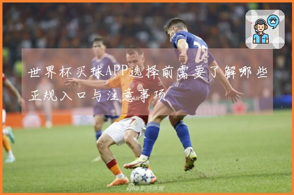 世界杯买球APP选择前需要了解哪些正规入口与注意事项